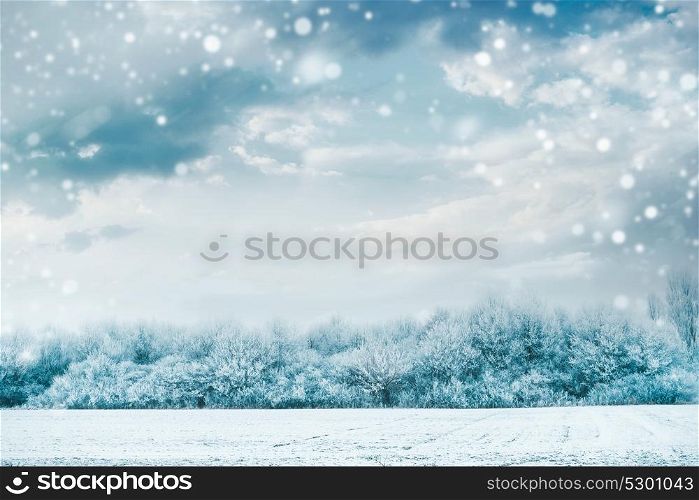 Beautiful winter landscape with frozen trees and snow covered field at sky background with snowfall