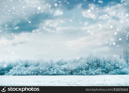 Beautiful winter landscape with frozen trees and snow covered field at sky background with snowfall