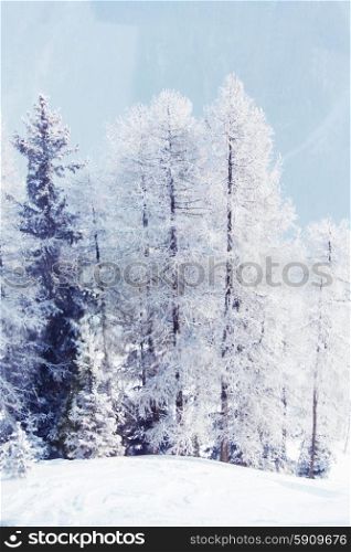 Beautiful winter landscape with snow covered mountain forest. Snow covered forest