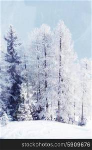 Beautiful winter landscape with snow covered mountain forest. Snow covered forest