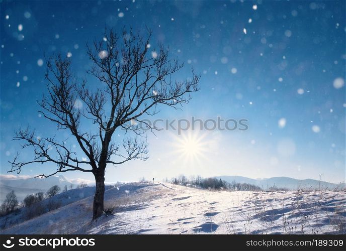 Beautiful winter landscape with snow covered trees and mountains on background. Winter beautiful season scene. Beautiful winter landscape with snow covered trees