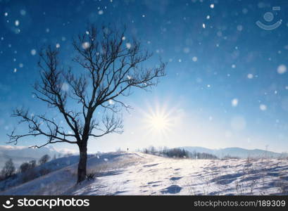 Beautiful winter landscape with snow covered trees and mountains on background. Winter beautiful season scene. Beautiful winter landscape with snow covered trees