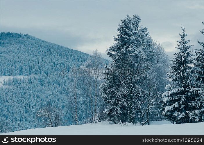 Beautiful winter mountain landscape with snowy forests in the distant backdrop. Picturesque and peaceful wintry scene European resort location. Cloudy day