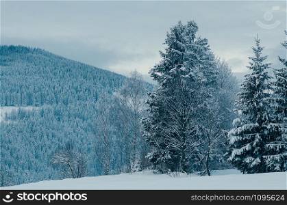Beautiful winter mountain landscape with snowy forests in the distant backdrop. Picturesque and peaceful wintry scene European resort location. Cloudy day