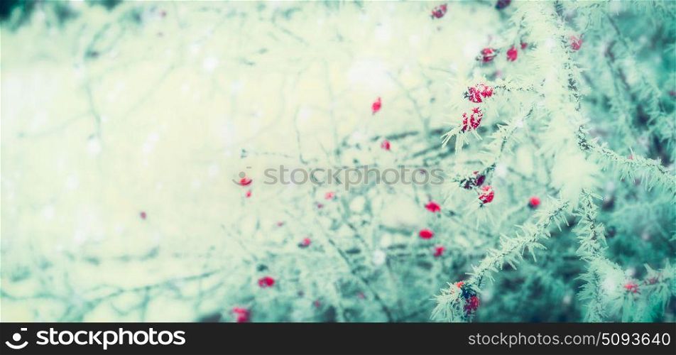 Beautiful winter nature background with branch of tree with red frozen berries covered with hoarfrost and snow at winter day