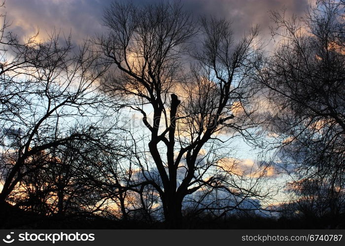 Beautiful winter sky at sunset