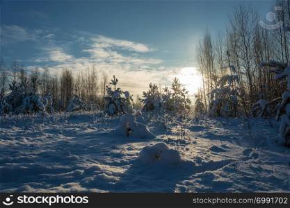Beautiful winter snow landscape in the rays of the setting sun on a frosty December day.