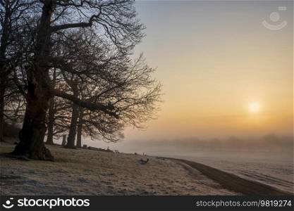 Beautiful Winter sunrise landscape image at dawn with hoarfrost on the plants and trees with golden hour sunrise light