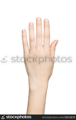 Beautiful woman&rsquo;s hands isolated on white background