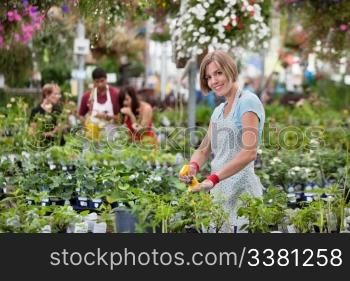Beautiful woman spraying water on plants with people in background