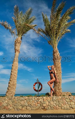 beautiful woman standing near the palm tree on the beach.. beautiful woman standing near the palm tree on the beach