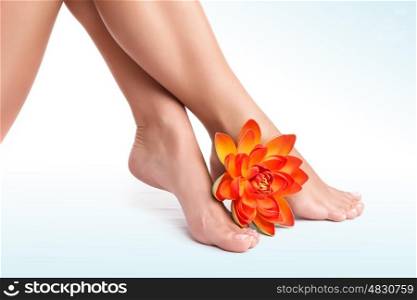 Beautiful women's legs with fresh orange lotus flower isolated on white background, perfect waxing, no more pain concept