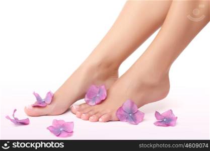 Beautiful women's legs with little purple flowers isolated on white background, body part, healthy treatment and beauty spa salon, no more pain concept&#xA;