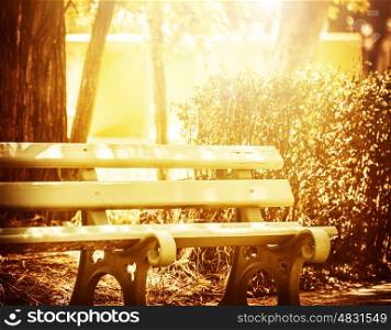 Beautiful wooden bench in the park, bright yellow sun light, place for resting, peaceful morning, summer time