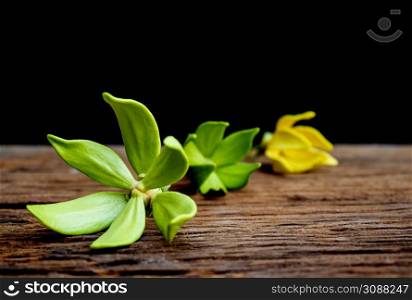 Beautiful yellow and green flowers , Ylang-ylang flowers arranged on the old wooden floor.
