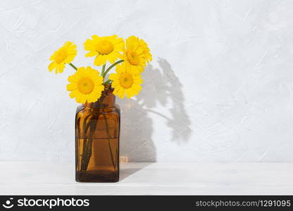 Beautiful Yellow flowers in amber bottle on wooden table. Spring scene background. Copy space