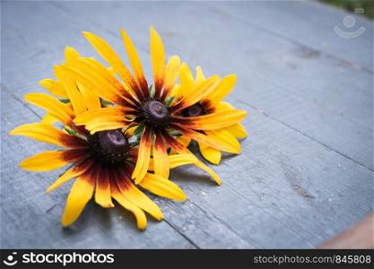Beautiful yellow flowers on old dark wooden table background. Backdrop with copy space. Beautiful flowers on dark wooden table background. Backdrop with copy space
