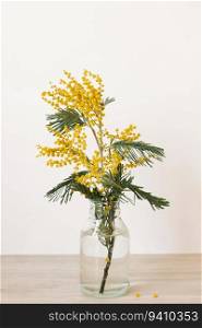 Beautiful yellow mimosa flower blooming in a glass vase bottle