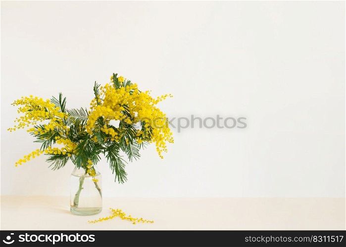 Beautiful yellow mimosa flower blossom in glass vase in spring time