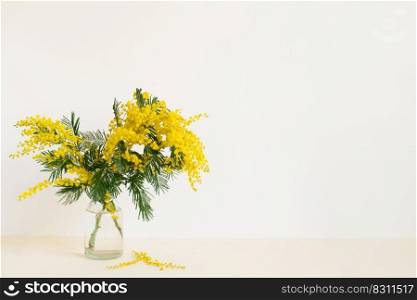 Beautiful yellow mimosa flower blossom in glass vase in spring time