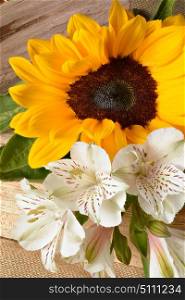 beautiful yellow sunflower . beautiful white flower and yellow sunflower macro close up photography
