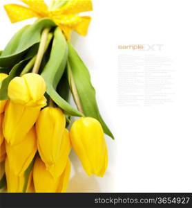 Beautiful yellow tulips over white (with easy removable sample text)