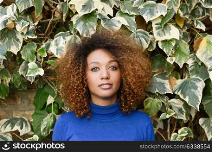 Beautiful young African American woman, model of fashion, with afro hairstyle and green eyes wearing blue sweater against leaves wall