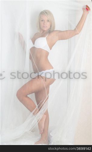 Beautiful young girl in lingerie under the veil