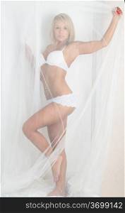 Beautiful young girl in lingerie under the veil