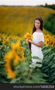 beautiful young Woman in the field of sunflowers. girl with long brunette hair with sunflower in hand. Summer time. selective focus. beautiful young Woman in the field of sunflowers. girl with long brunette hair with sunflower in hand. Summer time. selective focus.