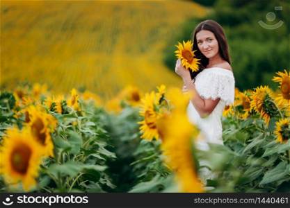 beautiful young Woman in the field of sunflowers. girl with long brunette hair with sunflower in hand. Summer time. selective focus. beautiful young Woman in the field of sunflowers. girl with long brunette hair with sunflower in hand. Summer time. selective focus.
