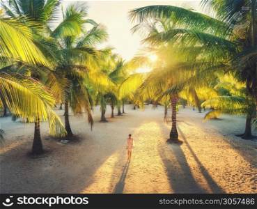 Beautiful young woman is walking in palm alley at sunset. Summer travel. Tropical landscape with slim girl in white lace dress on the sandy beach, green palm trees, yellow sunlight. Vacation in Africa