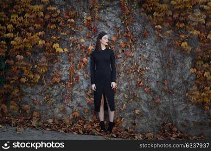 Beautiful young woman, model of fashion, on wall full of autumn leaves, with eyes closed. Fine art photograph