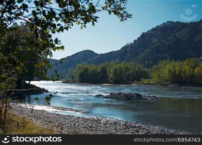 Beautifule blue river landscape with trees, Katun river, Altai Mountains, Russia