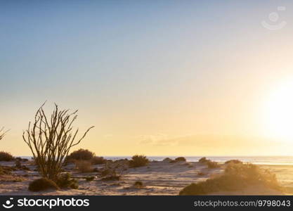 Beautuful Baja California landscapes, Mexico. Travel background, concept