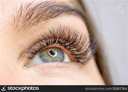 Beauty and fashion concept - Eyelash Extension Procedure. Woman Eye with Long false Eyelashes. Close up macro shot. Beauty and fashion concept - Eyelash Extension Procedure. Woman Eye with Long false Eyelashes.