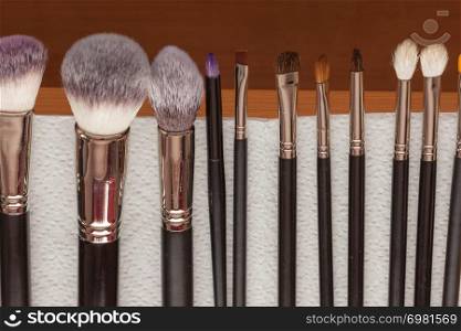 Beauty and makeup. Set of wet professional make up brushes after washing is drying