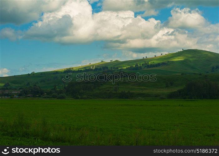 Beauty colors of summer Altai. Beauty colors of summer Altai. Green and yellow meadow with trees on mountain background