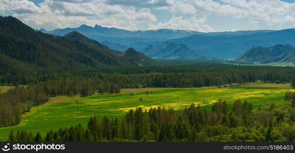 Beauty colors of summer Altai. Beauty colors of summer Altai. Green and yellow meadow with trees on mountain background