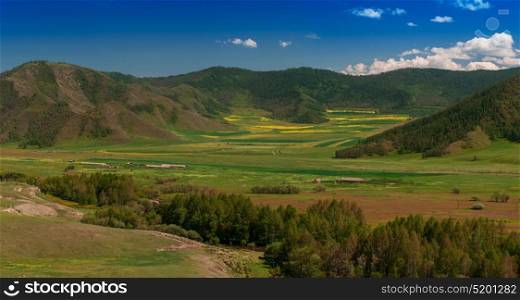 Beauty colors of summer Altai. Beauty colors of summer Altai. Green and yellow meadow with trees on mountain background