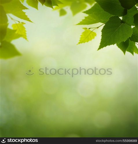 beauty colors of the spring nature, environmental backgrounds