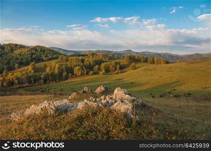 Beauty dawn in the mountains. Beauty dawn in the mountains in Altay,