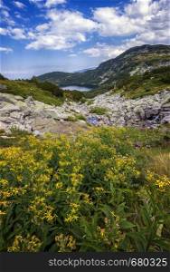 beauty day landscape on the mountain with yellow flowers in front. Vertical view