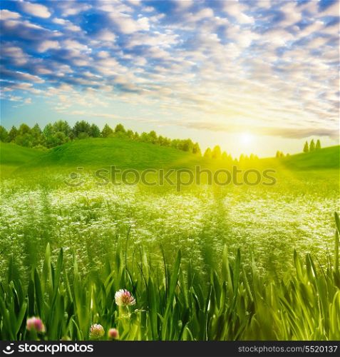 Beauty evening on the meadow, abstract summer landscape