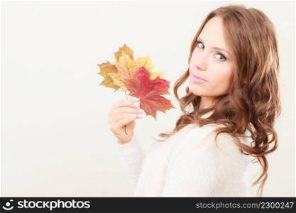 Beauty female autumnal model. Lovely girl long hair with dry fall maple leaves in hand studio shot bright background
