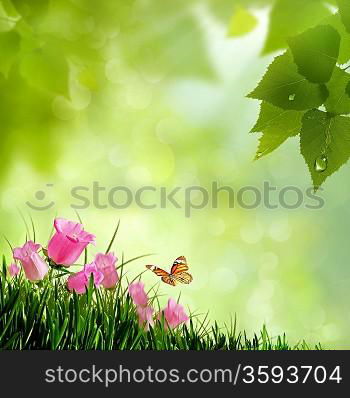 Beauty flowers. Abstract natural backgrounds
