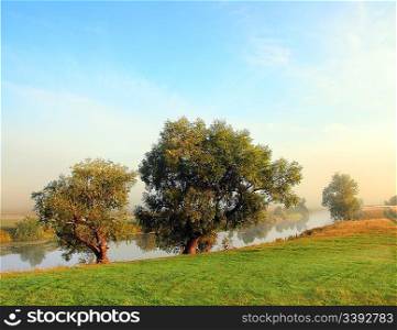 beauty lake landscape with trees in fog
