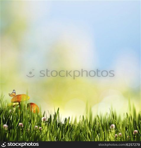 Beauty natural backgrounds with mushrooms and butterfly