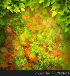 Beauty Nature. Abstract natural backgrounds for your design