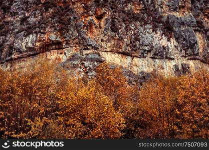 Beauty of autumn, trees with golden foliage under great mountain, abstract natural background, change of a seasons concept